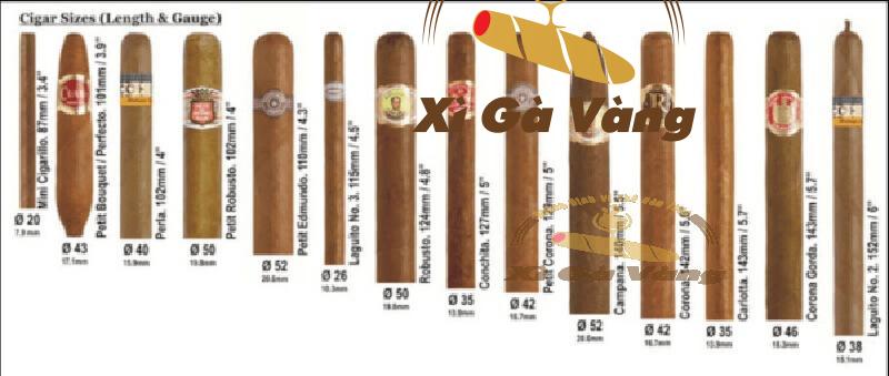 Một số kích thước vòng ring cigar phổ biến trên thị trường hiện nay